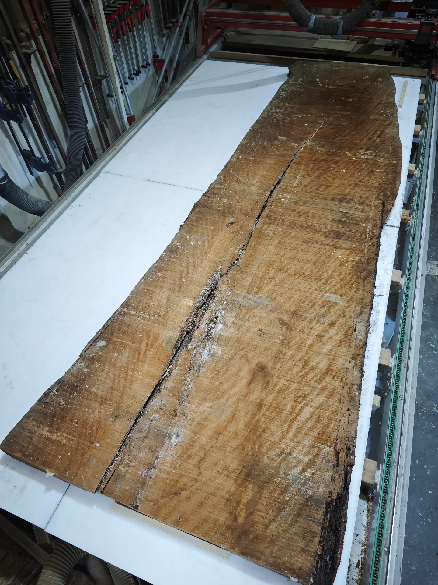 3.6x1.3 Swamp Kauri Dining Table — Progress photo