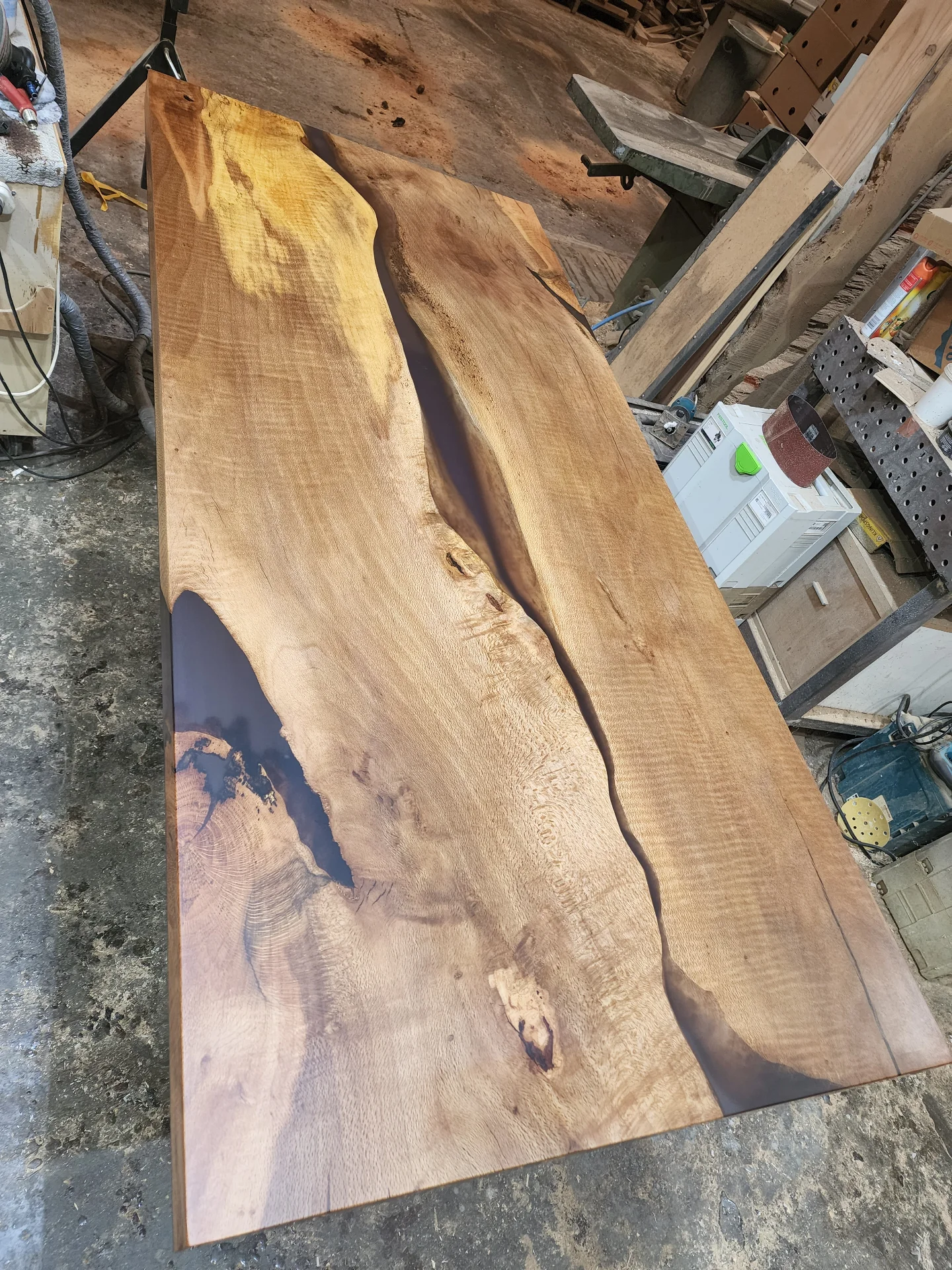 Siberian Elm Counter Top — Progress photo
