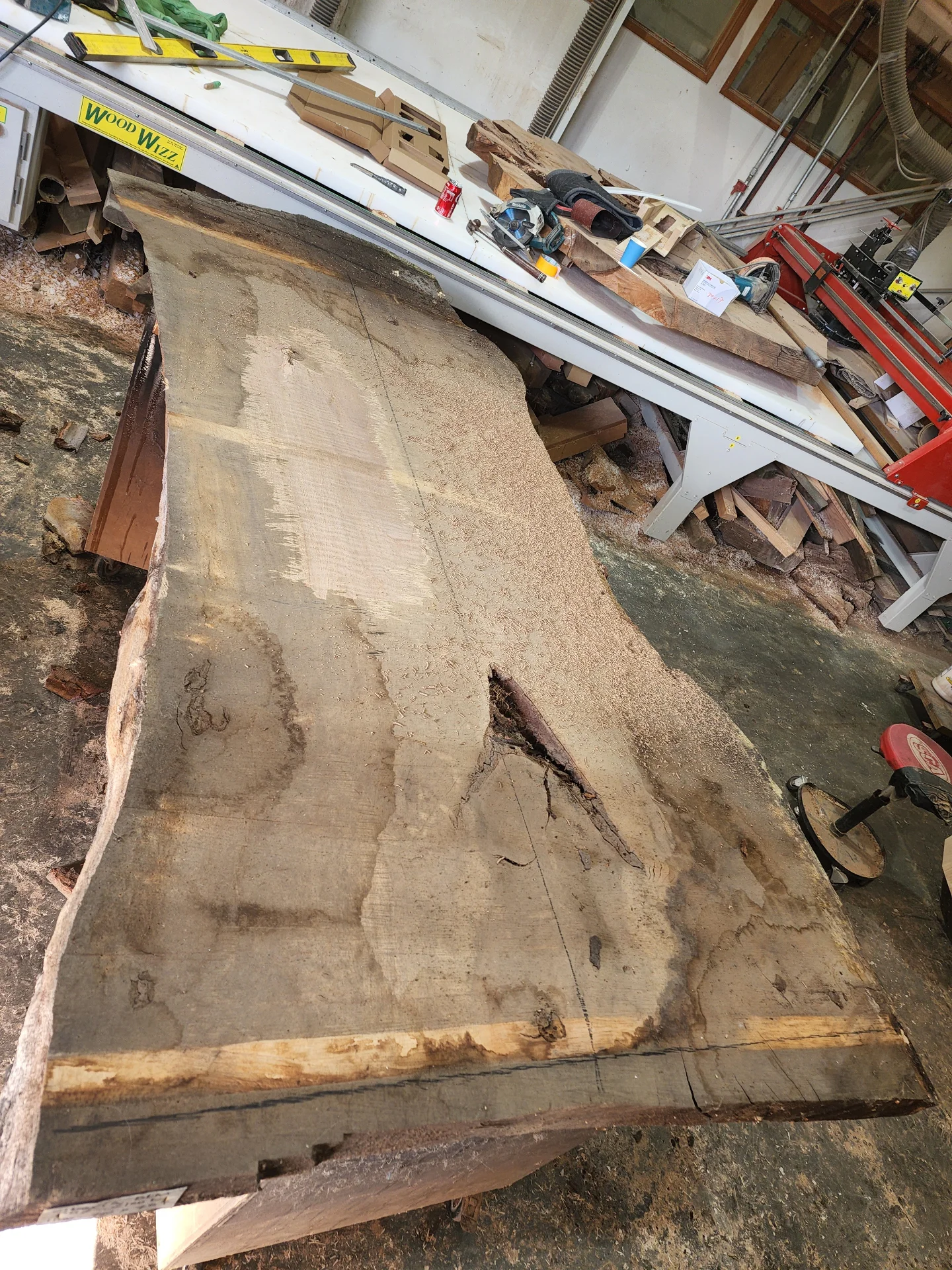 Siberian Elm Counter Top — Progress photo