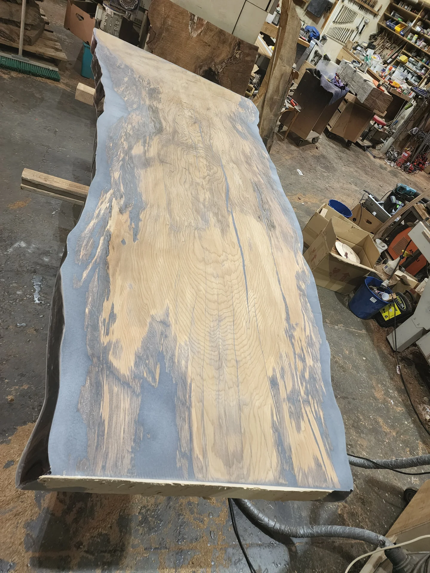 Swamp Kauri Dining Table 3*1.2 — Progress photo
