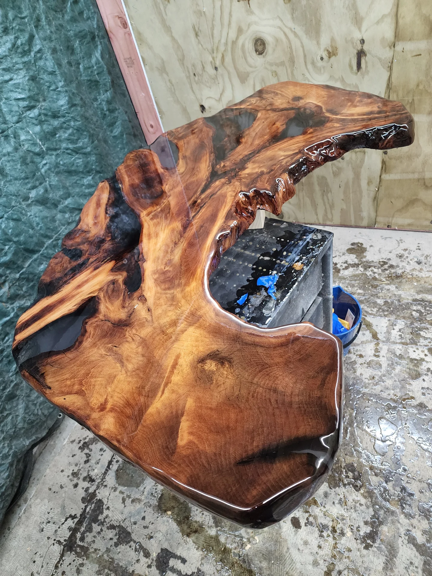 Swamp Kauri Coffee table top — Progress photo
