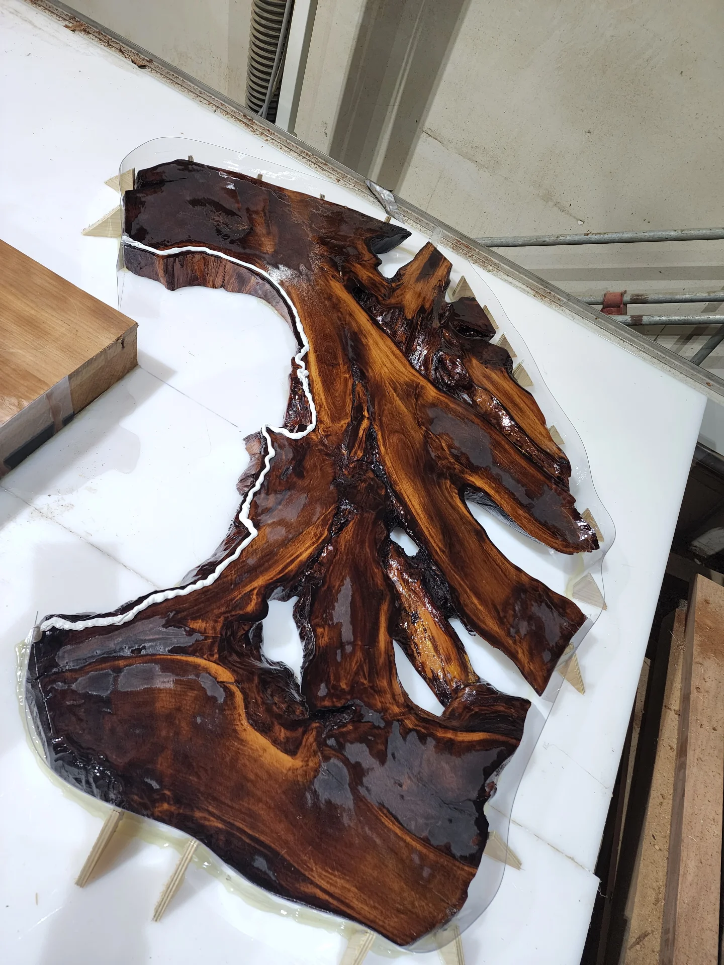 Swamp Kauri Coffee table top — Progress photo