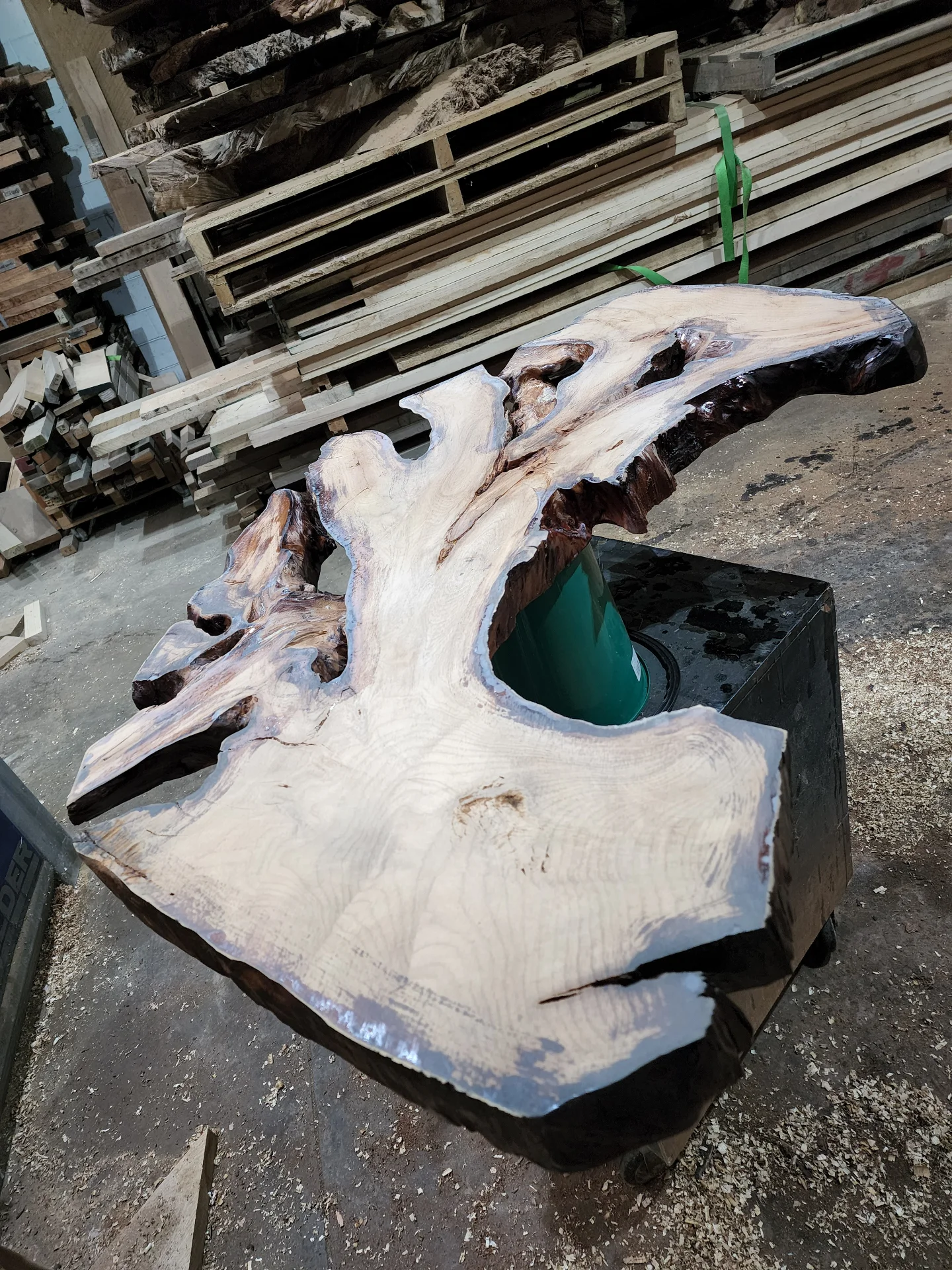 Swamp Kauri Coffee table top — Progress photo