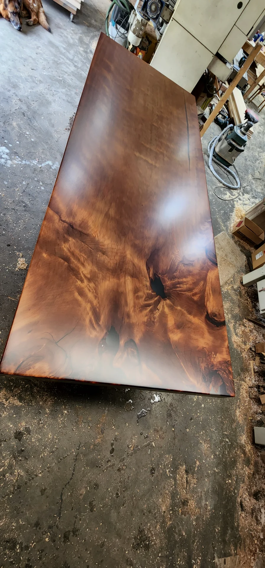 Swamp Kauri Dining table 3.6*1.2 Dunedin — Progress photo