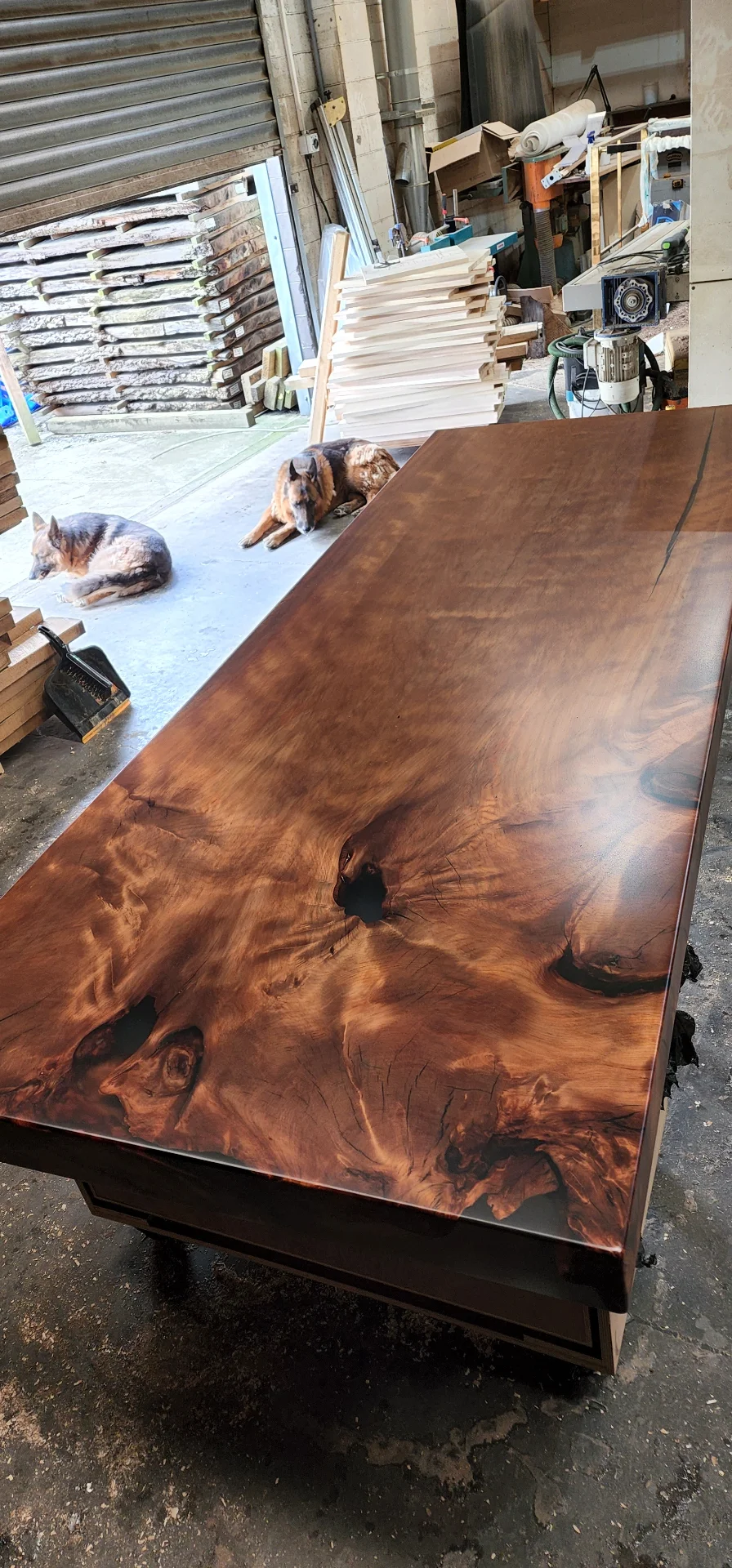 Swamp Kauri Dining table 3.6*1.2 Dunedin