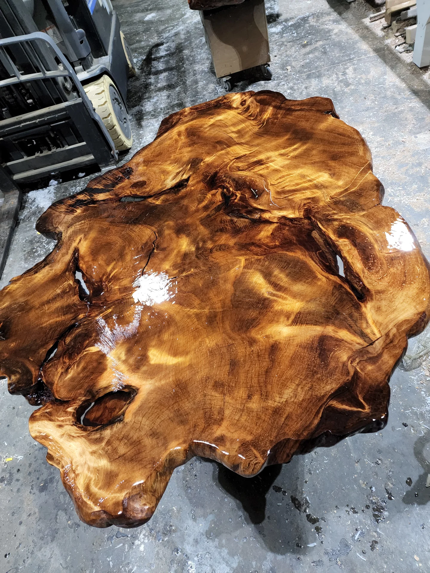 Swamp Kauri Coffee table top 2 — Progress photo