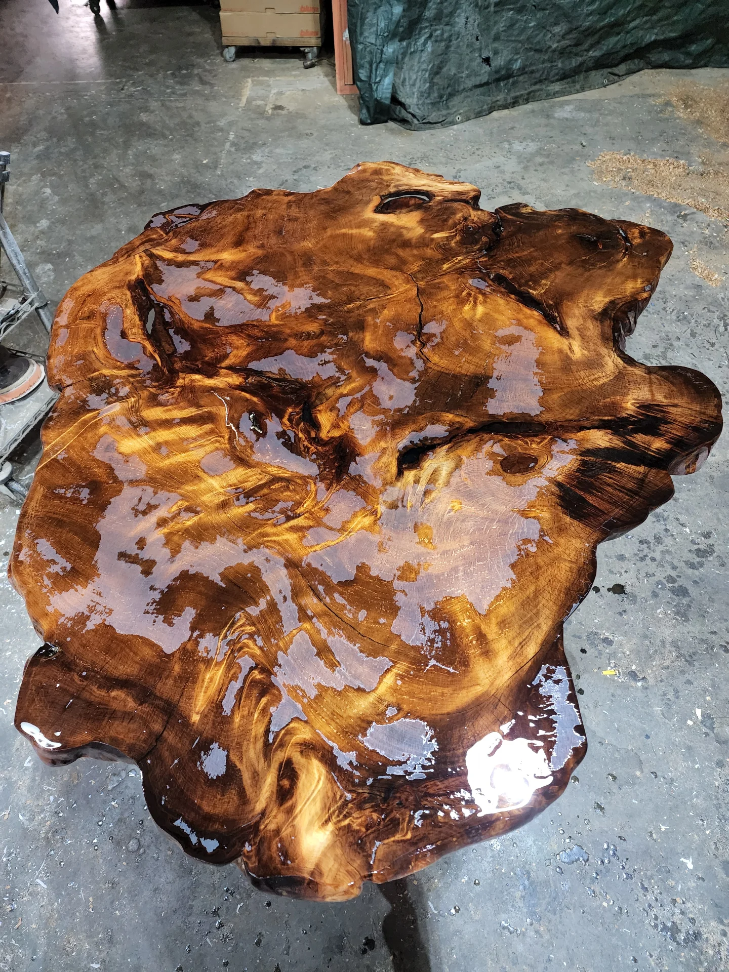 Swamp Kauri Coffee table top 2 — Progress photo
