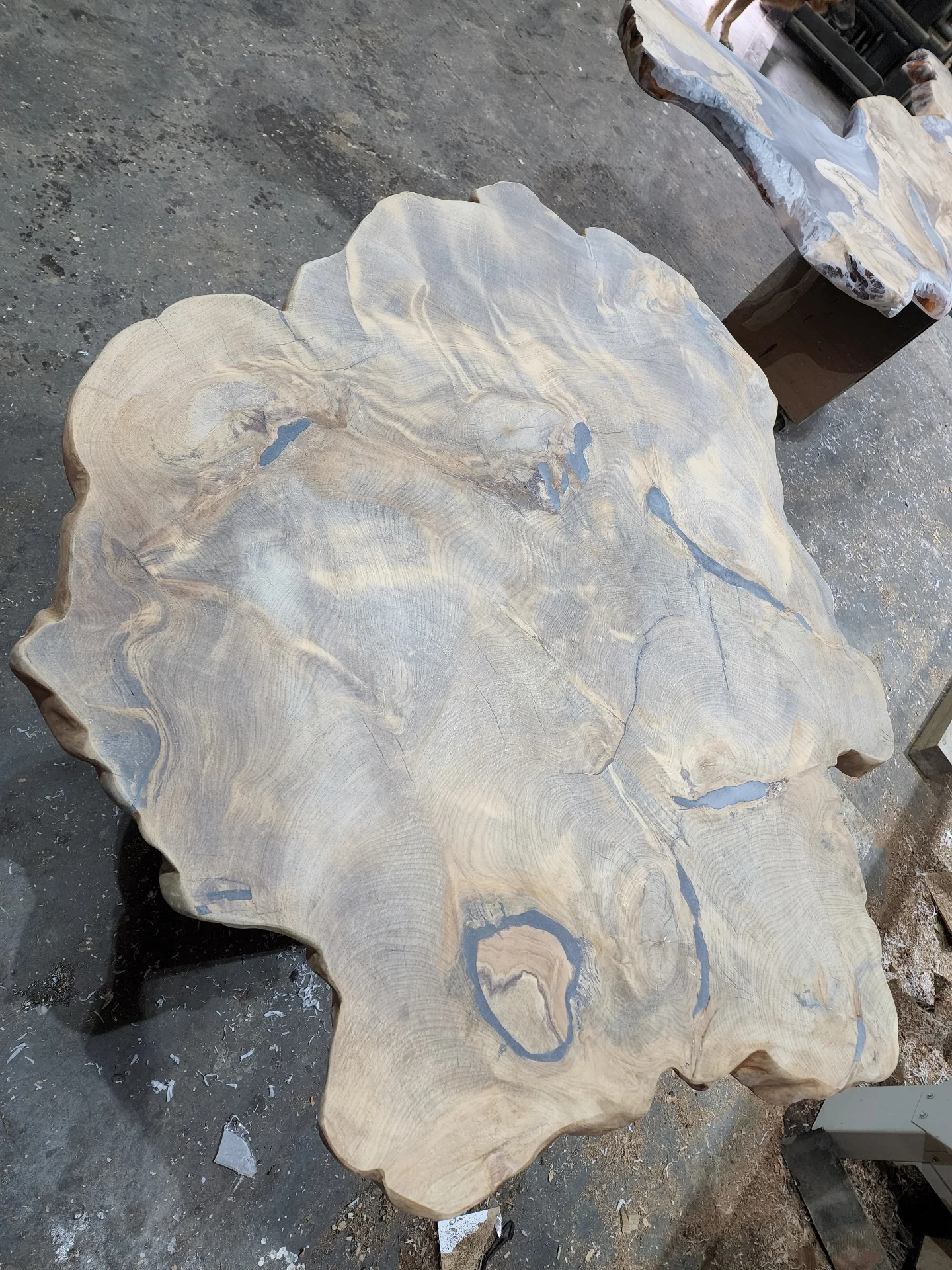 Swamp Kauri Coffee table top 2 — Progress photo