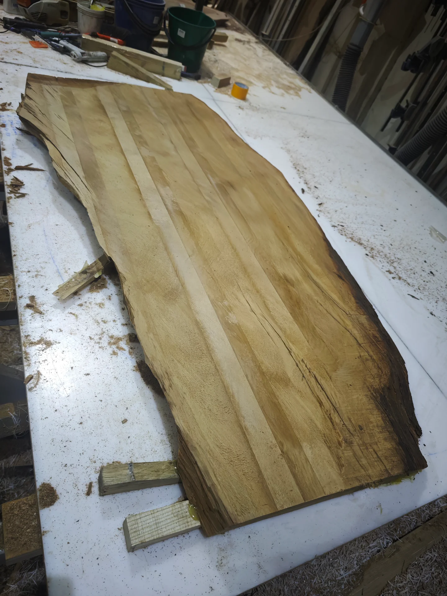 Swamp Kauri Top 1600*800 — Progress photo