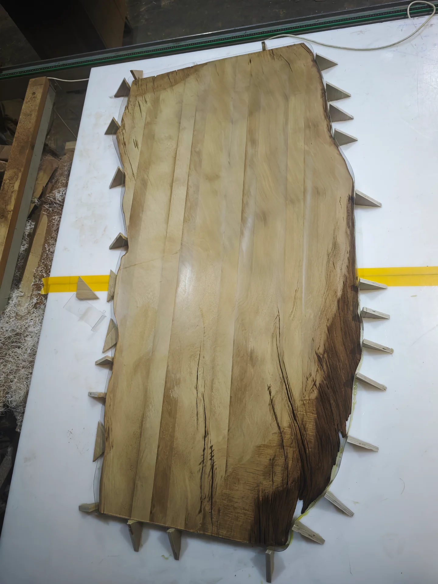 Swamp Kauri Top 1600*800 — Progress photo