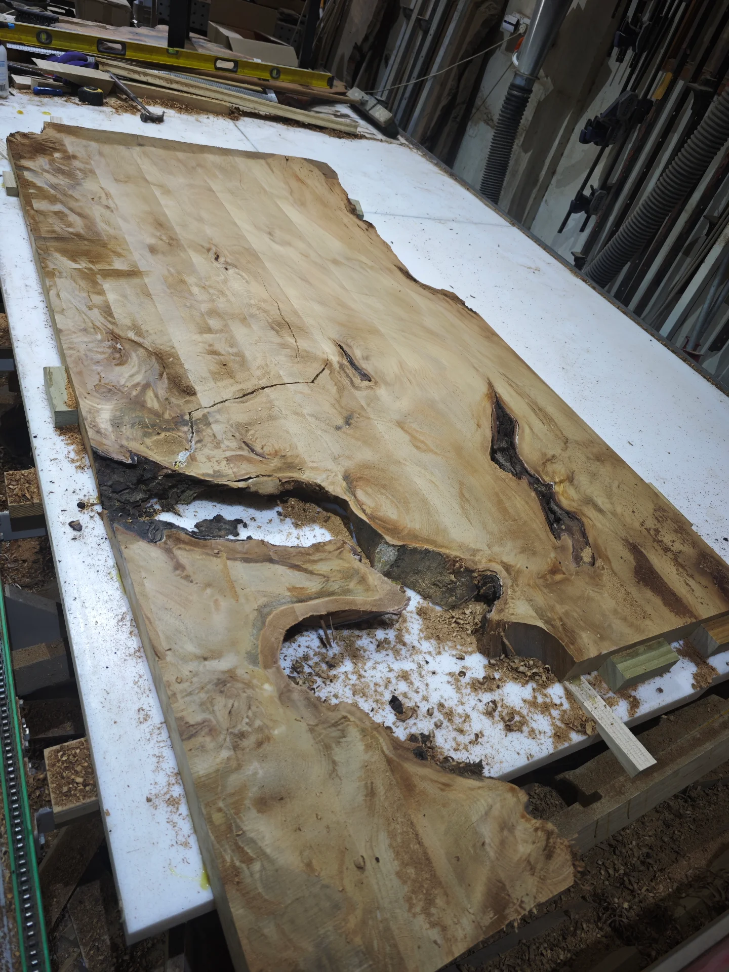 Swamp Kauri Dinning Table 2.2 X 1.1 — Progress photo