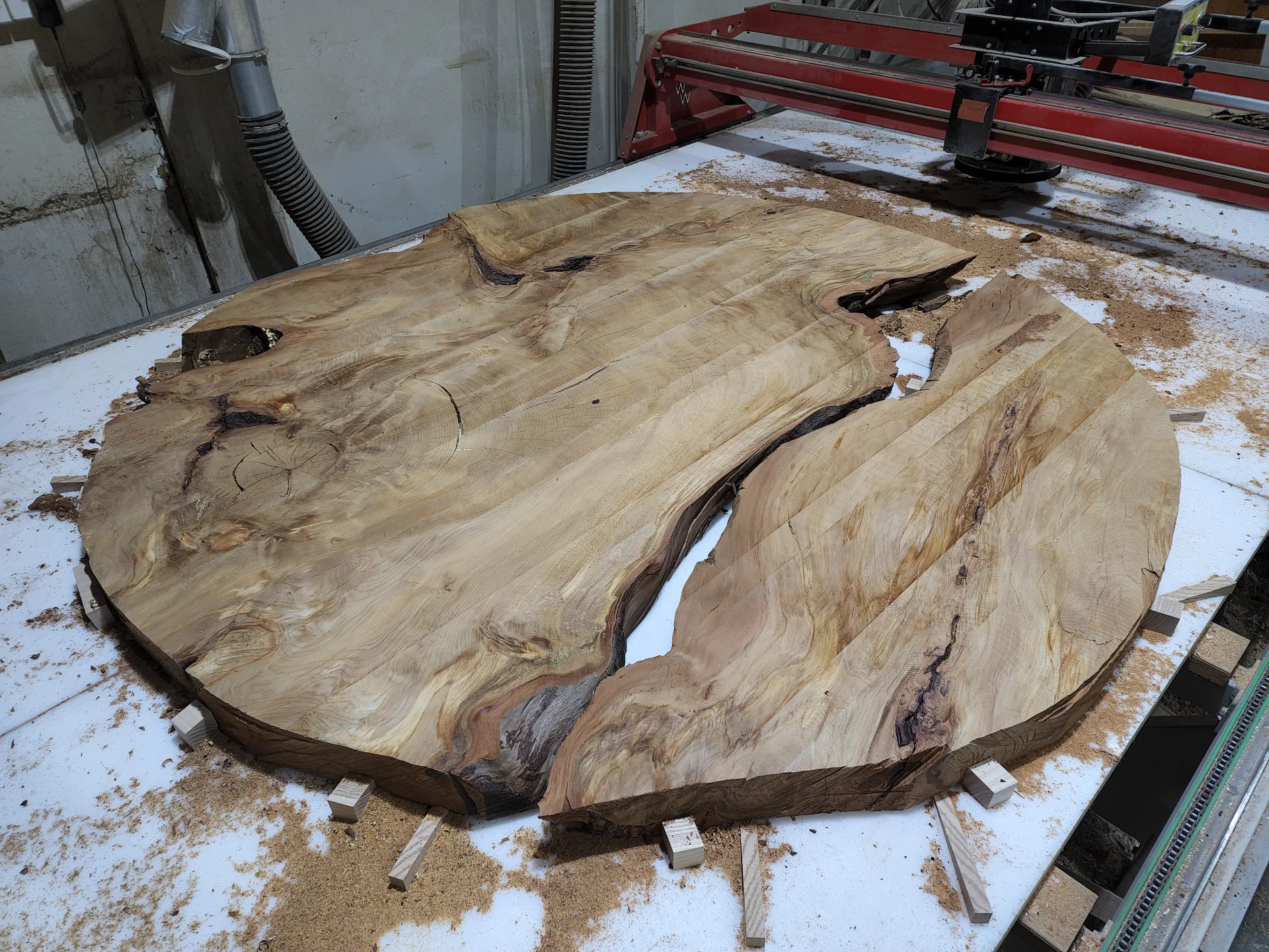 Swamp Kauri Dinning Table 1600D 2 — Progress photo