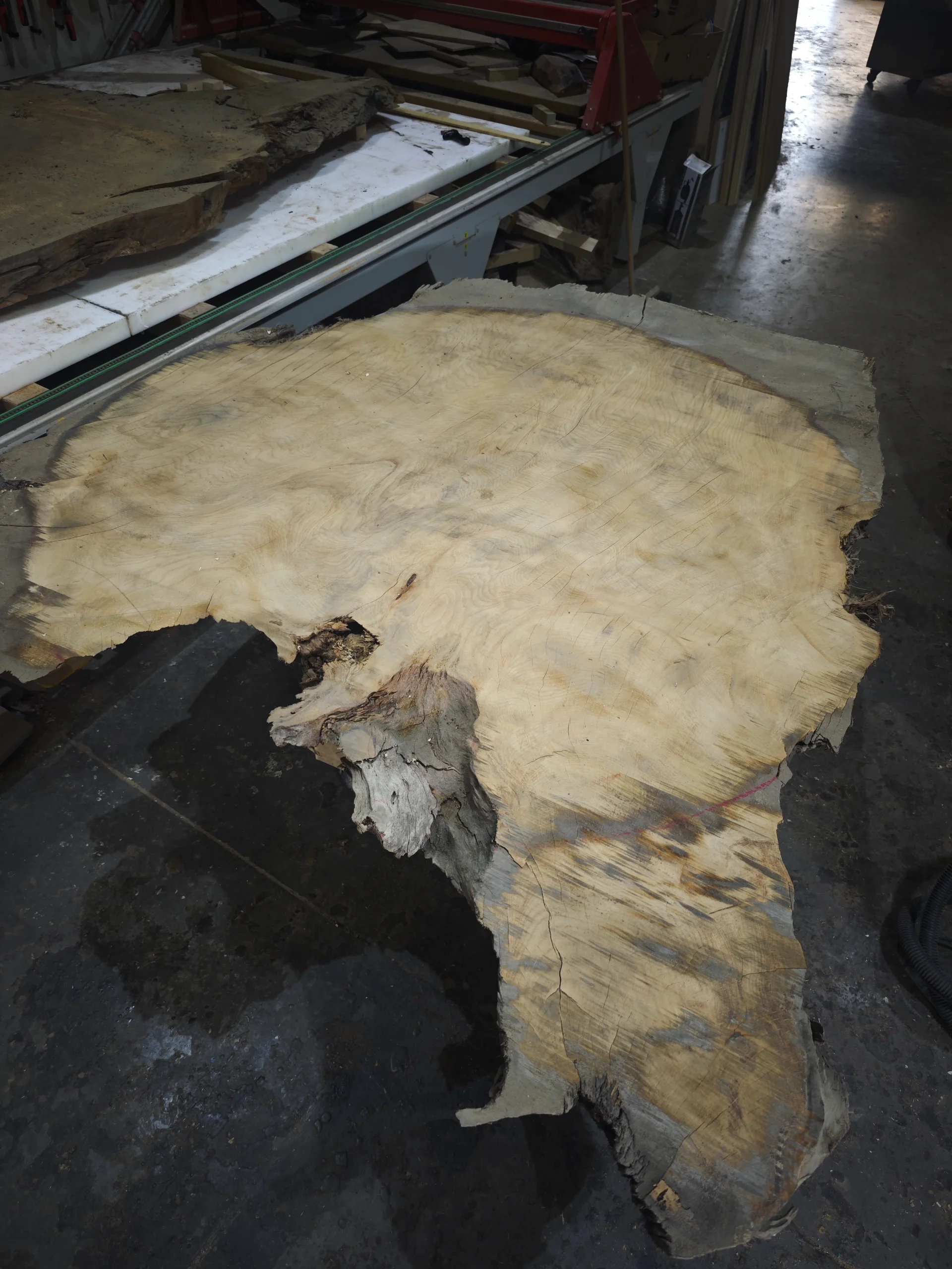 Weis round kauri table — Progress photo