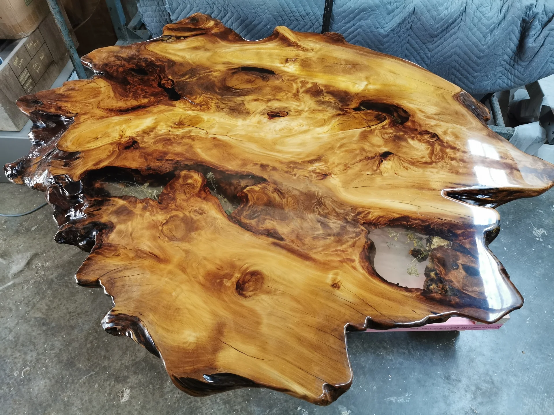Live edge Swamp Kauri Coffee Table — Progress photo