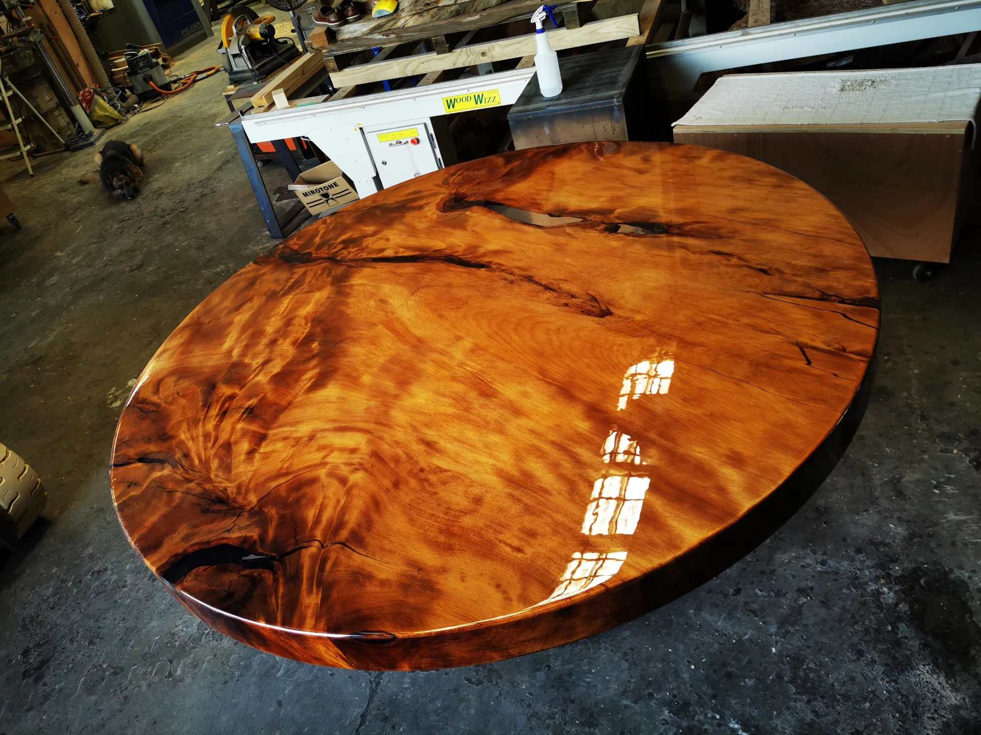 Swamp Kauri Dia 2M Round Dinning talbe — Progress photo