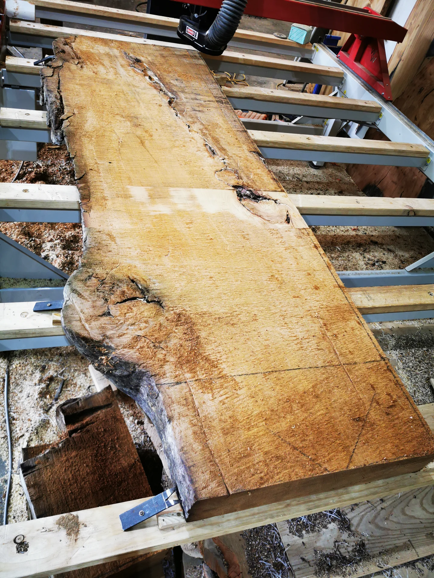 Michelle Swamp Kauri River table — Progress photo