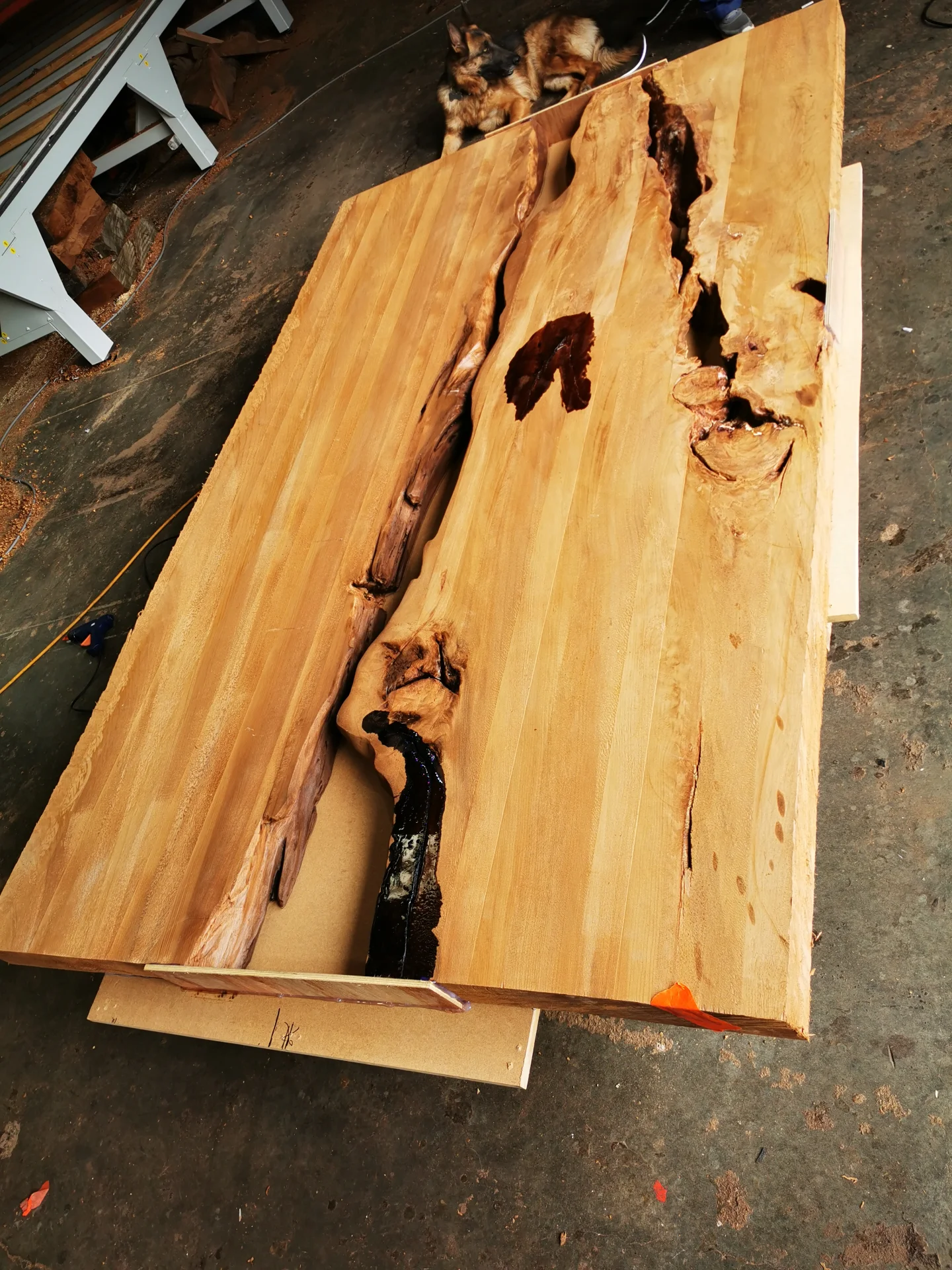 Michelle Swamp Kauri River table — Progress photo