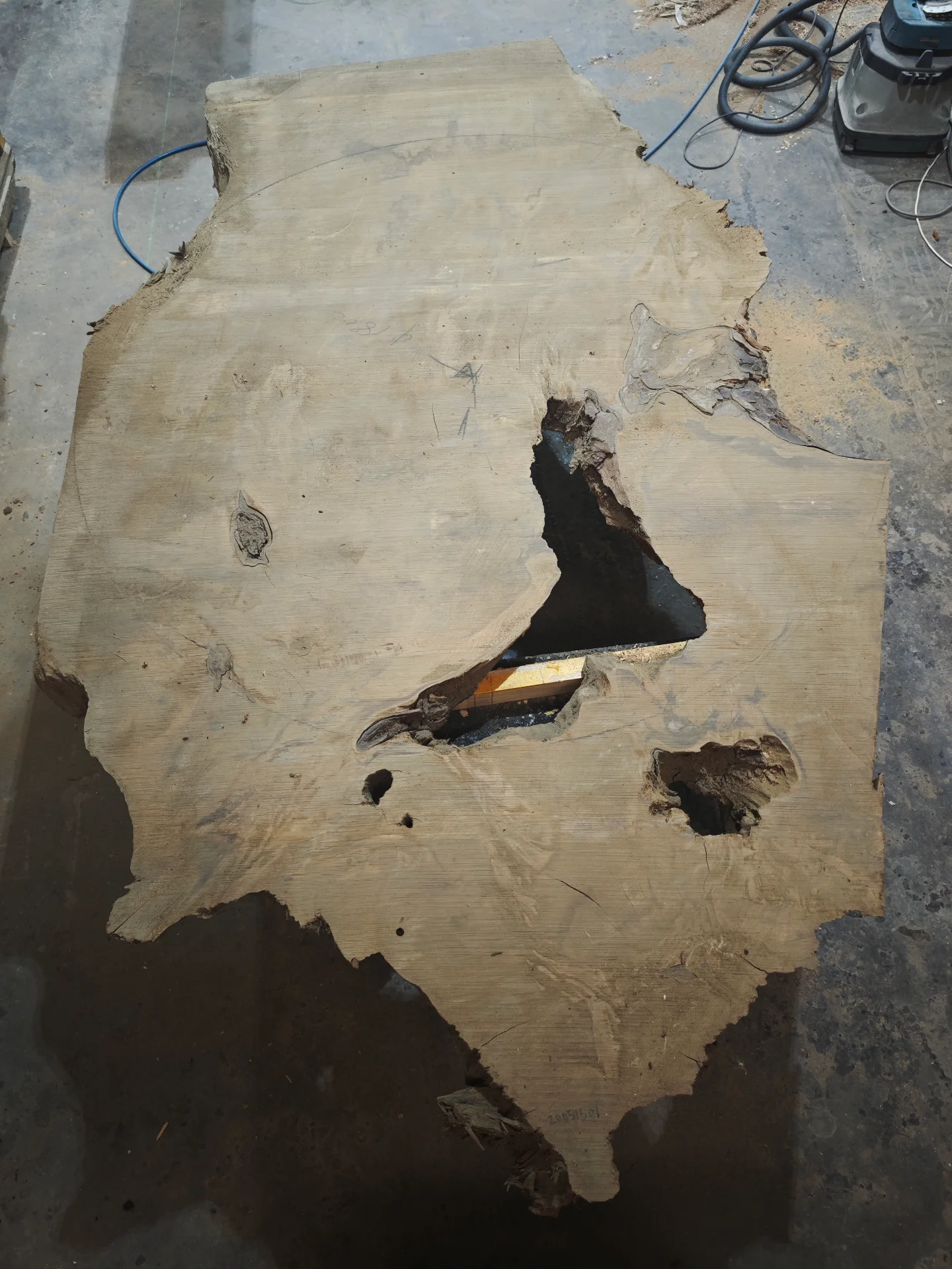 Swamp Kauri round dining table 1800 — Progress photo