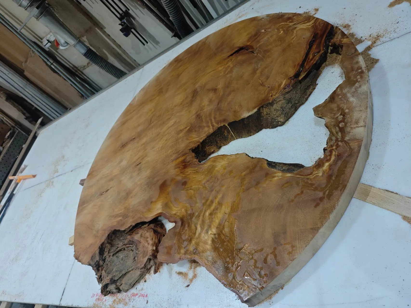 Swamp Kauri round dining table 1800 — Progress photo