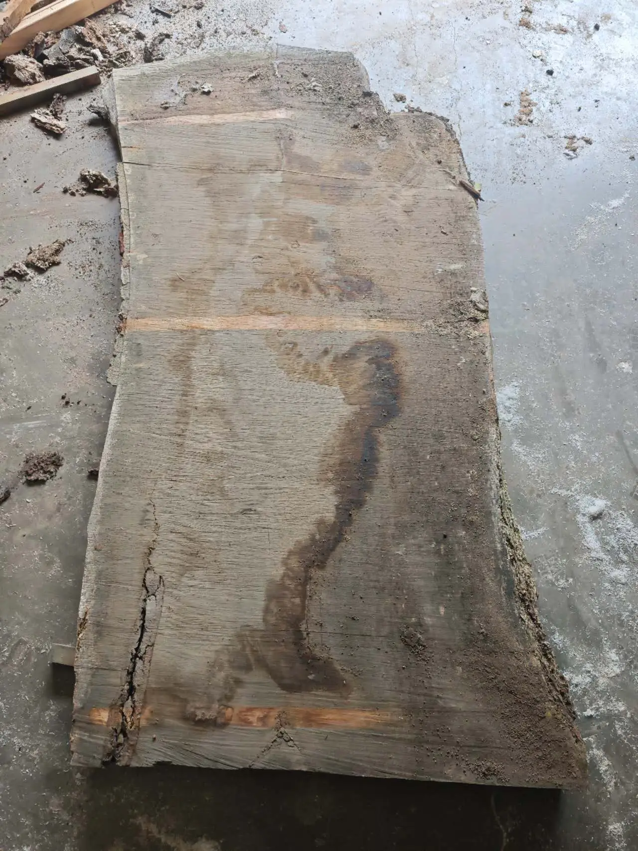 Siberian Elm River Table — latest progress