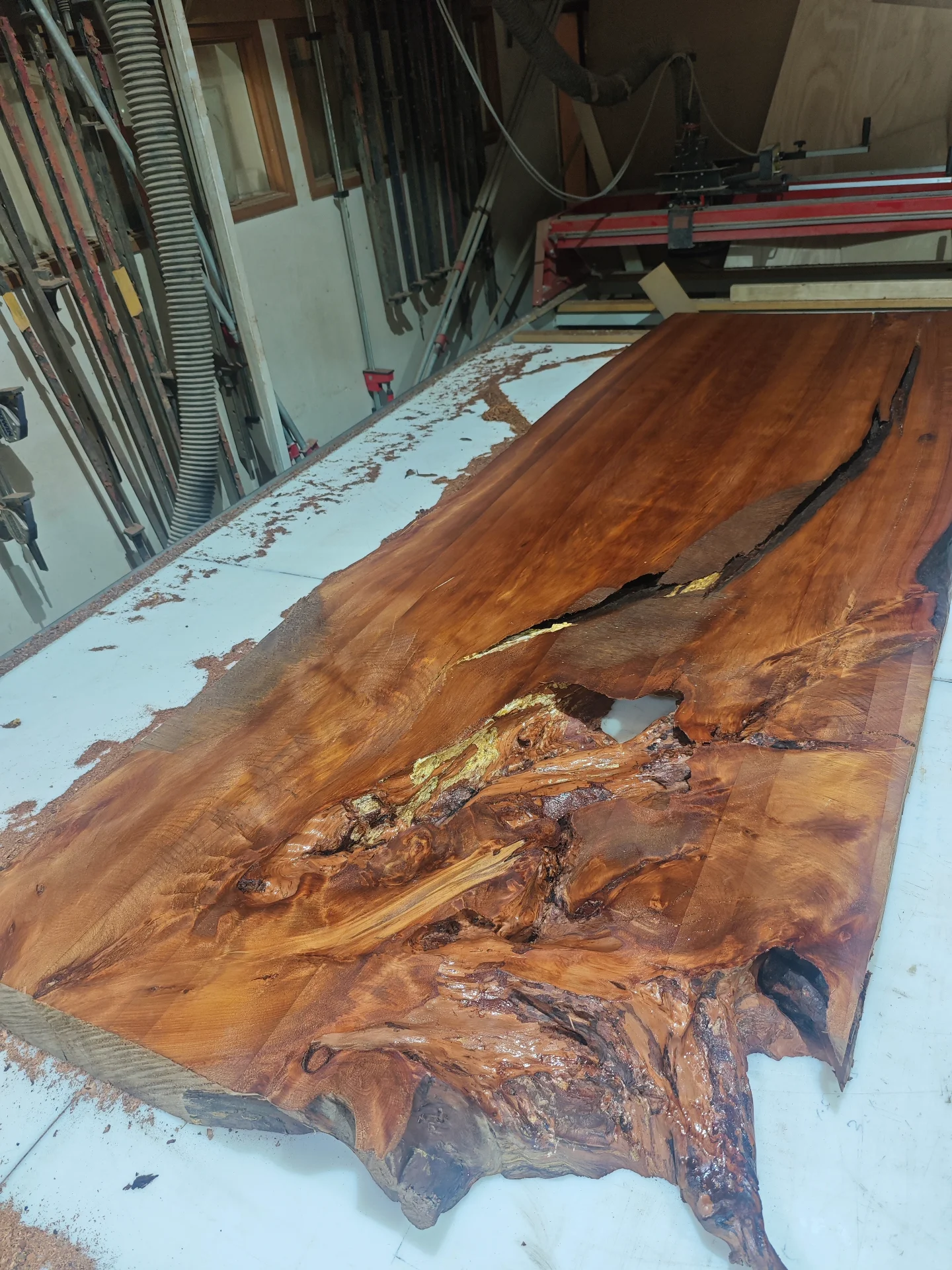 Custom made swamp kauri dining table Whitford — Progress photo