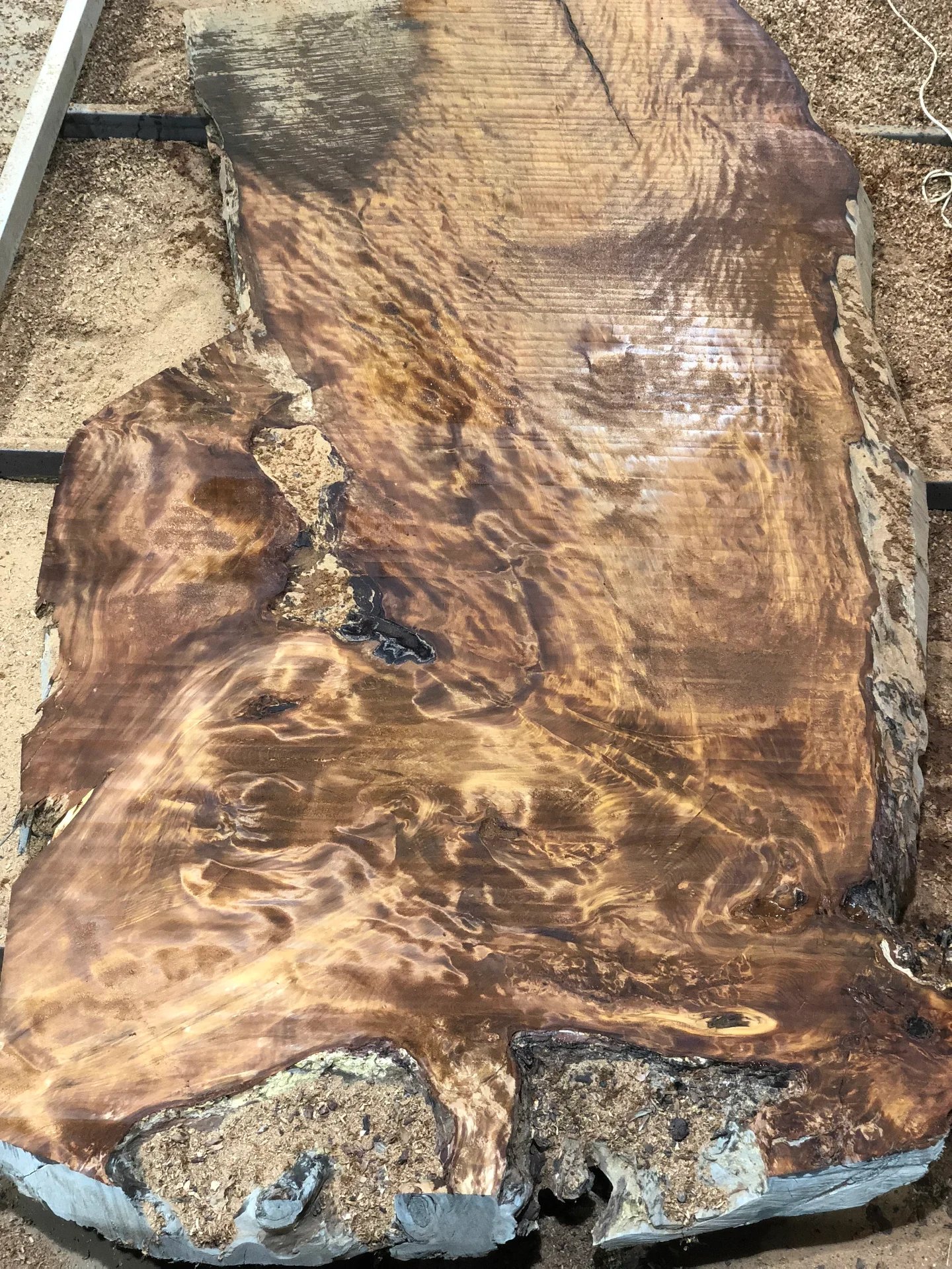 Ansheng's Swamp Kauri table — Progress photo