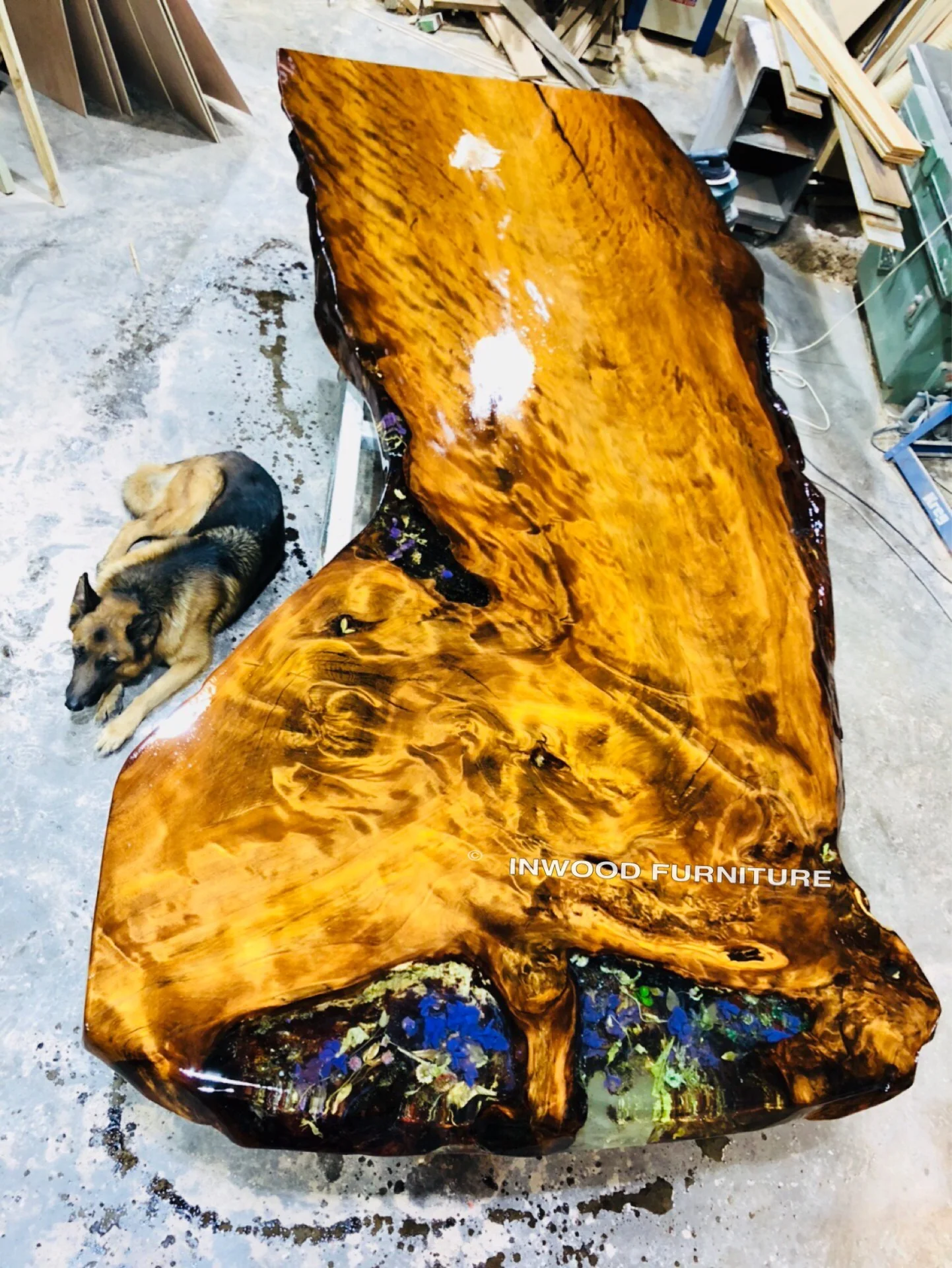 Ansheng's Swamp Kauri table