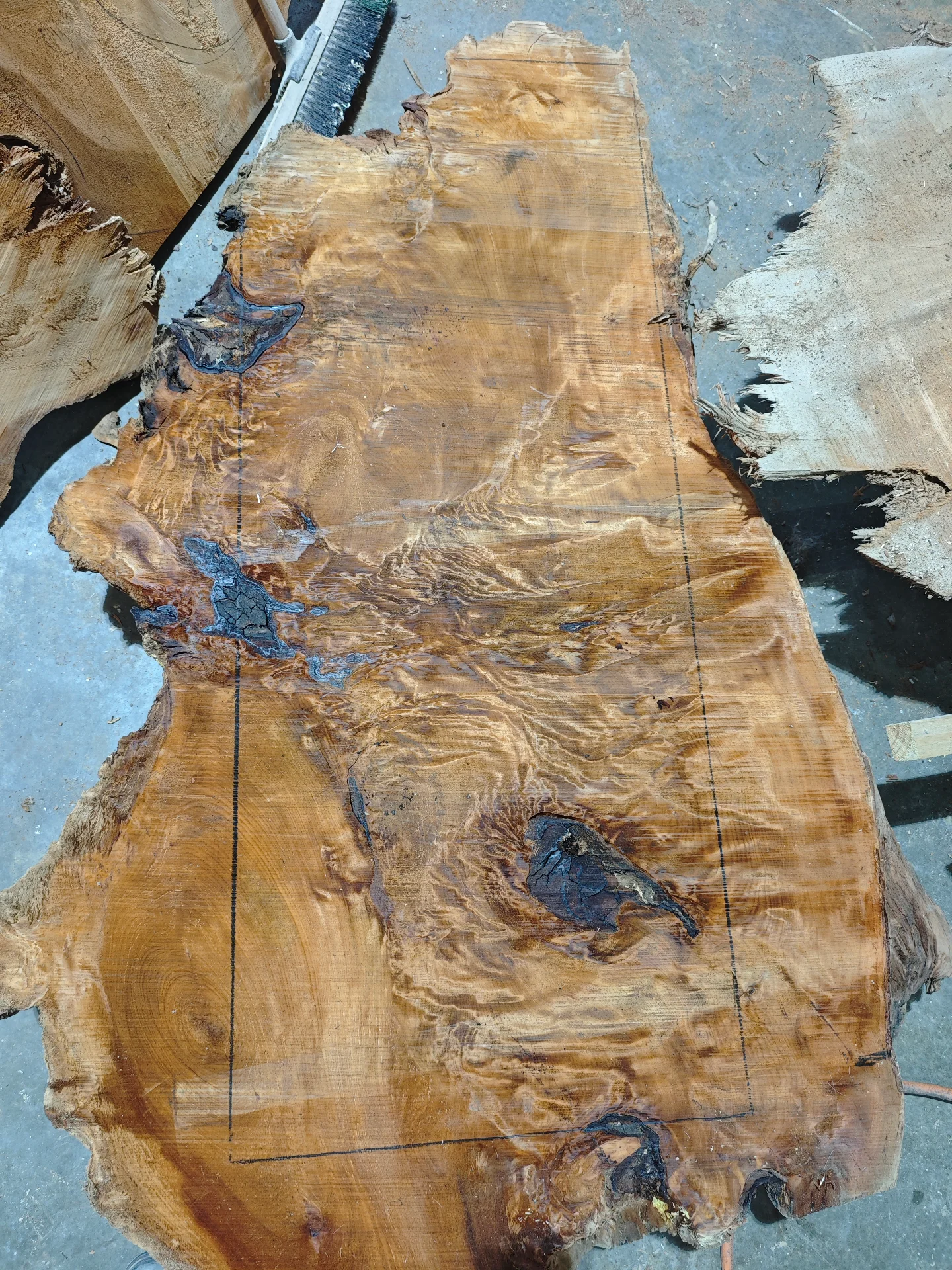 Swamp Kauri breakfast bar top — Progress photo